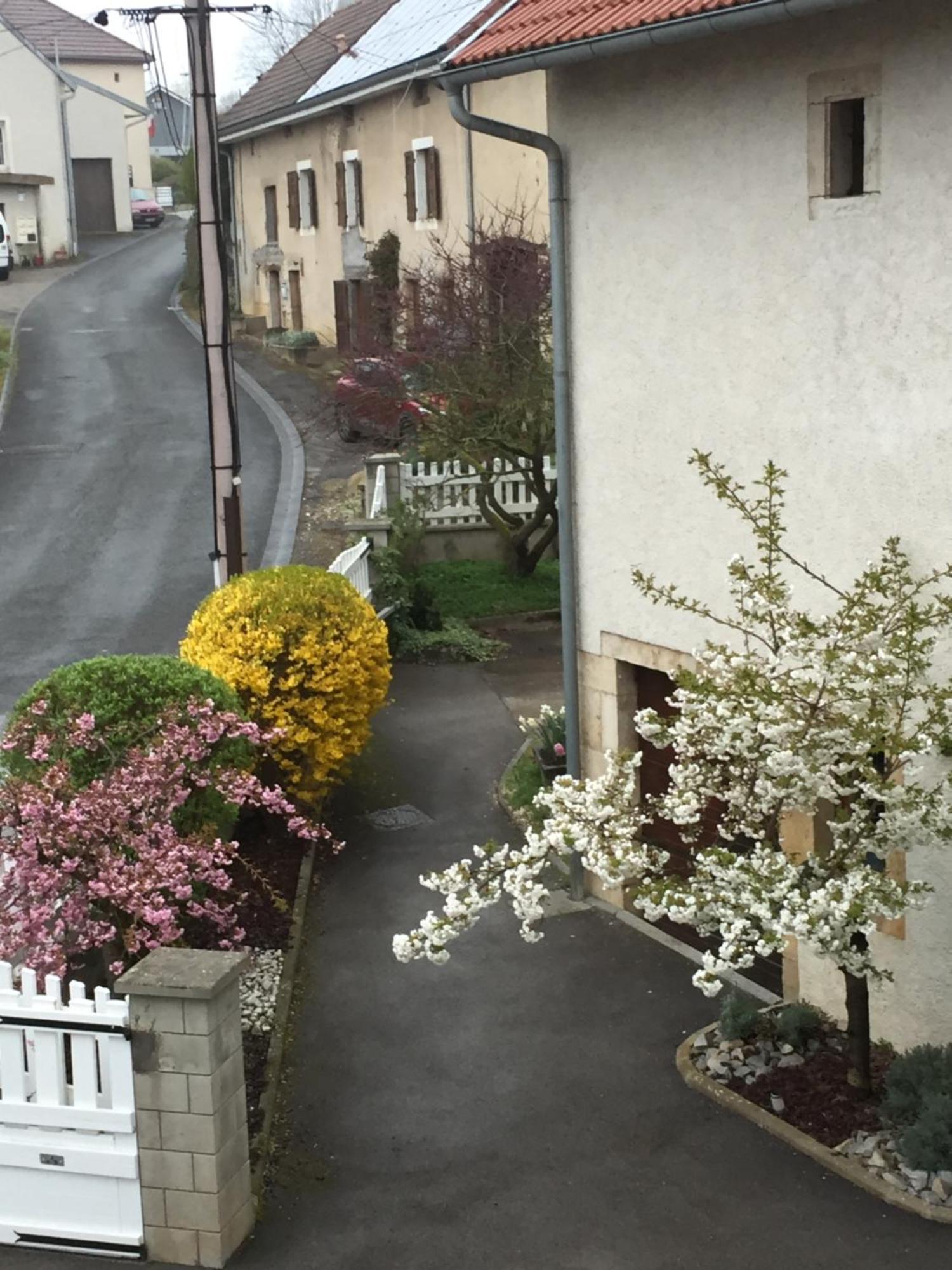 Ravissant En Bordure Du Doubs Apartment Longevelle-sur-Doubs